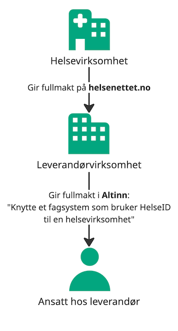 Bilde - Skisse